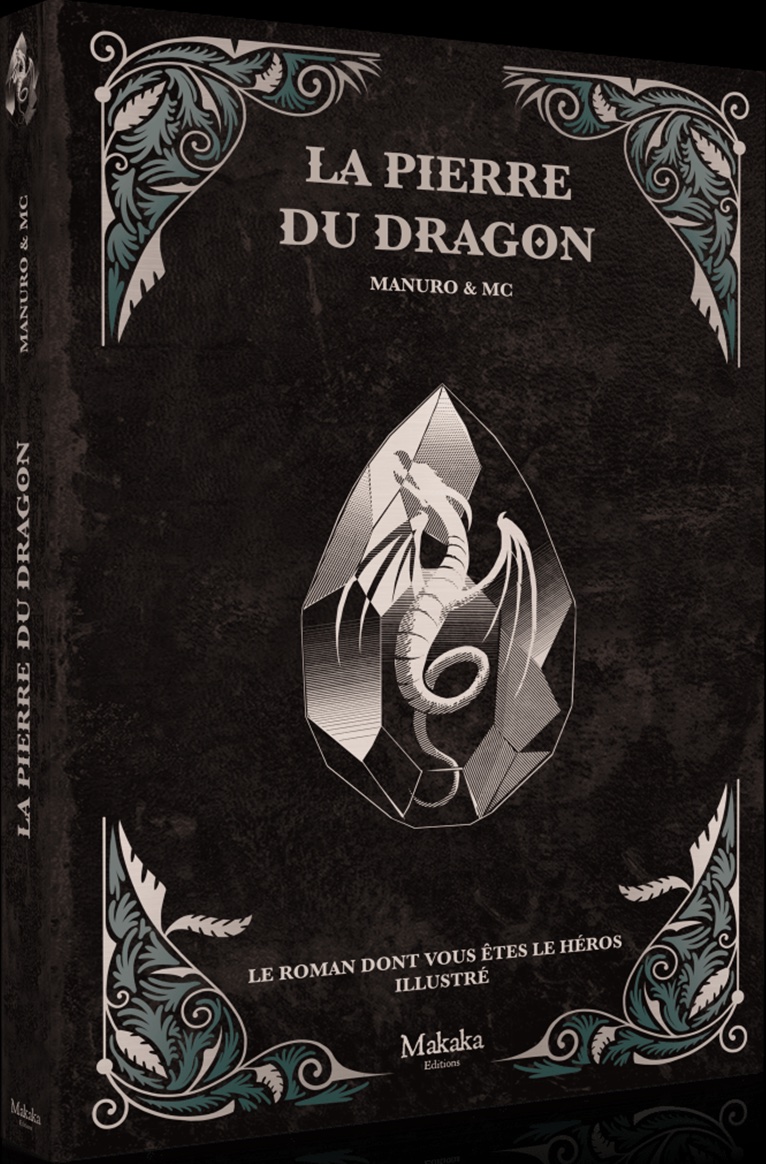 La Pierre de dragon - Le roman dont vous êtes le héros illustré