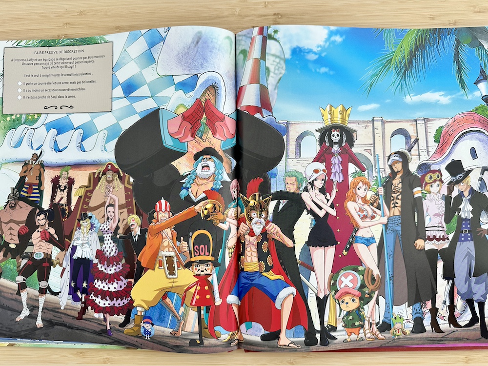 One Piece cherche et trouve Avis